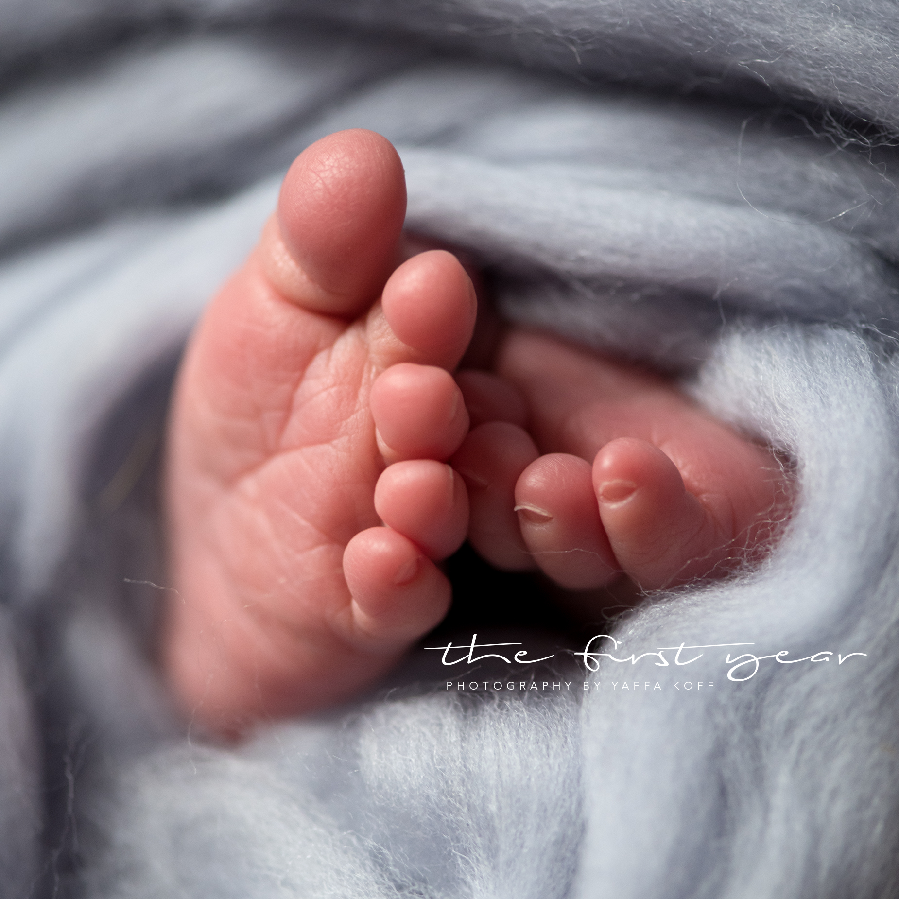 Silver Spring, Maryland Newborn Photography