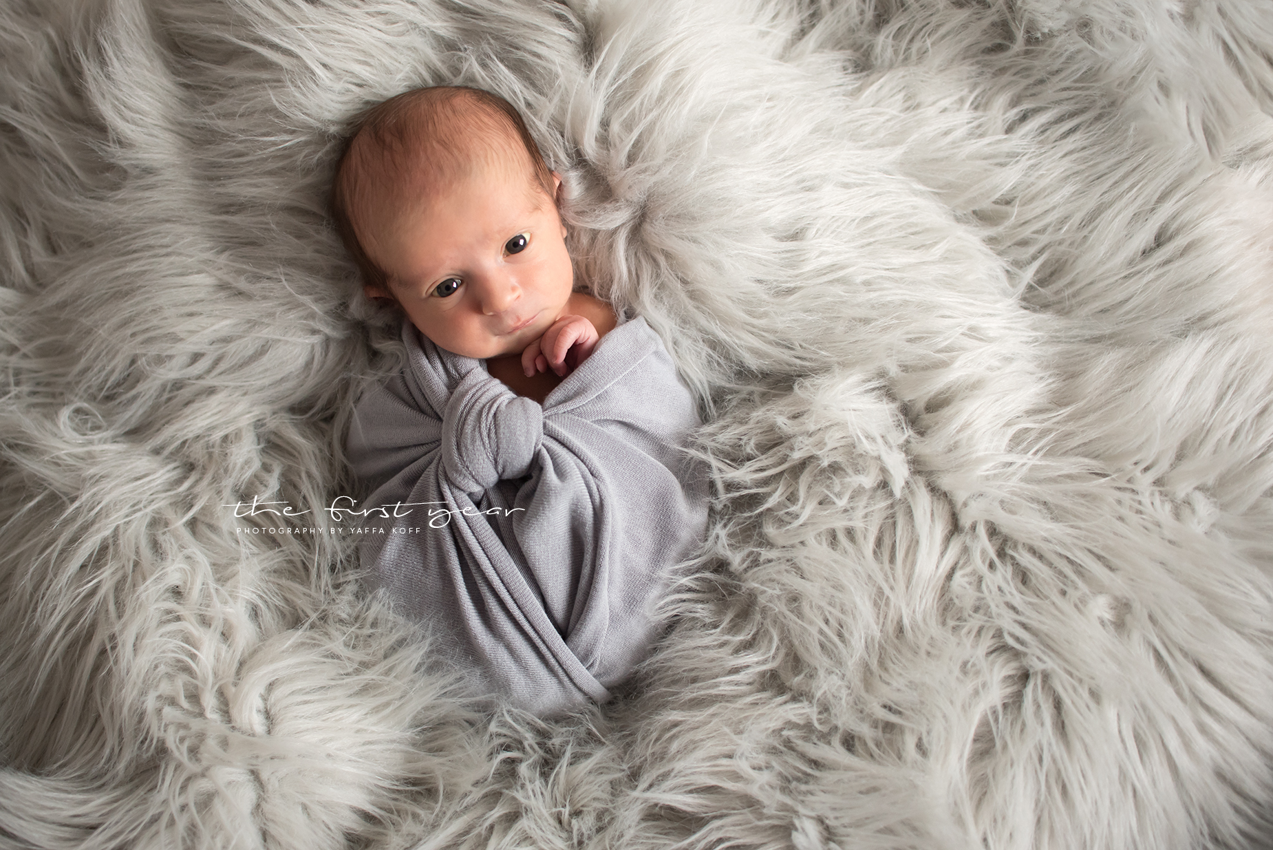 Silver Spring, Maryland Newborn Photography