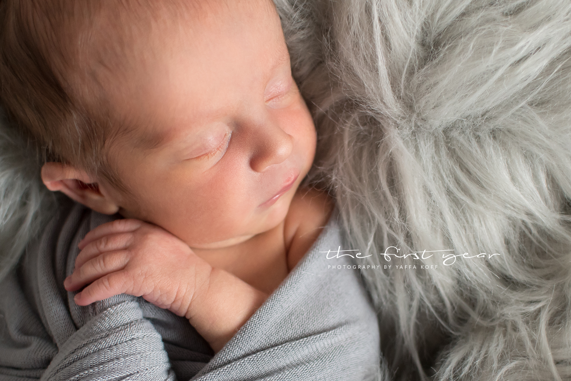 Silver Spring, Maryland Newborn Photography