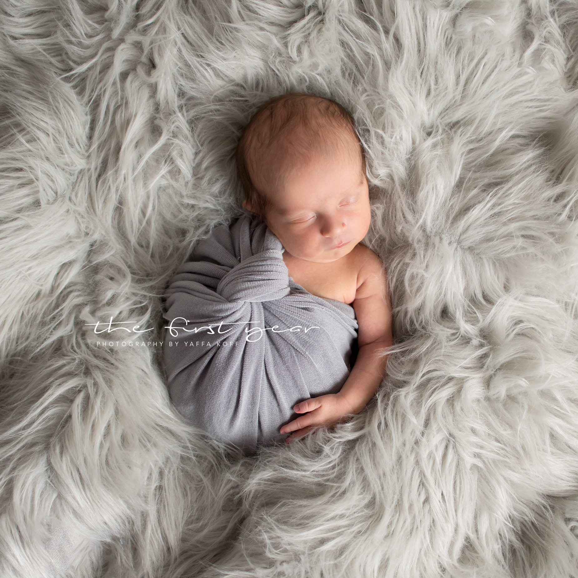 Silver Spring, Maryland Newborn Photography