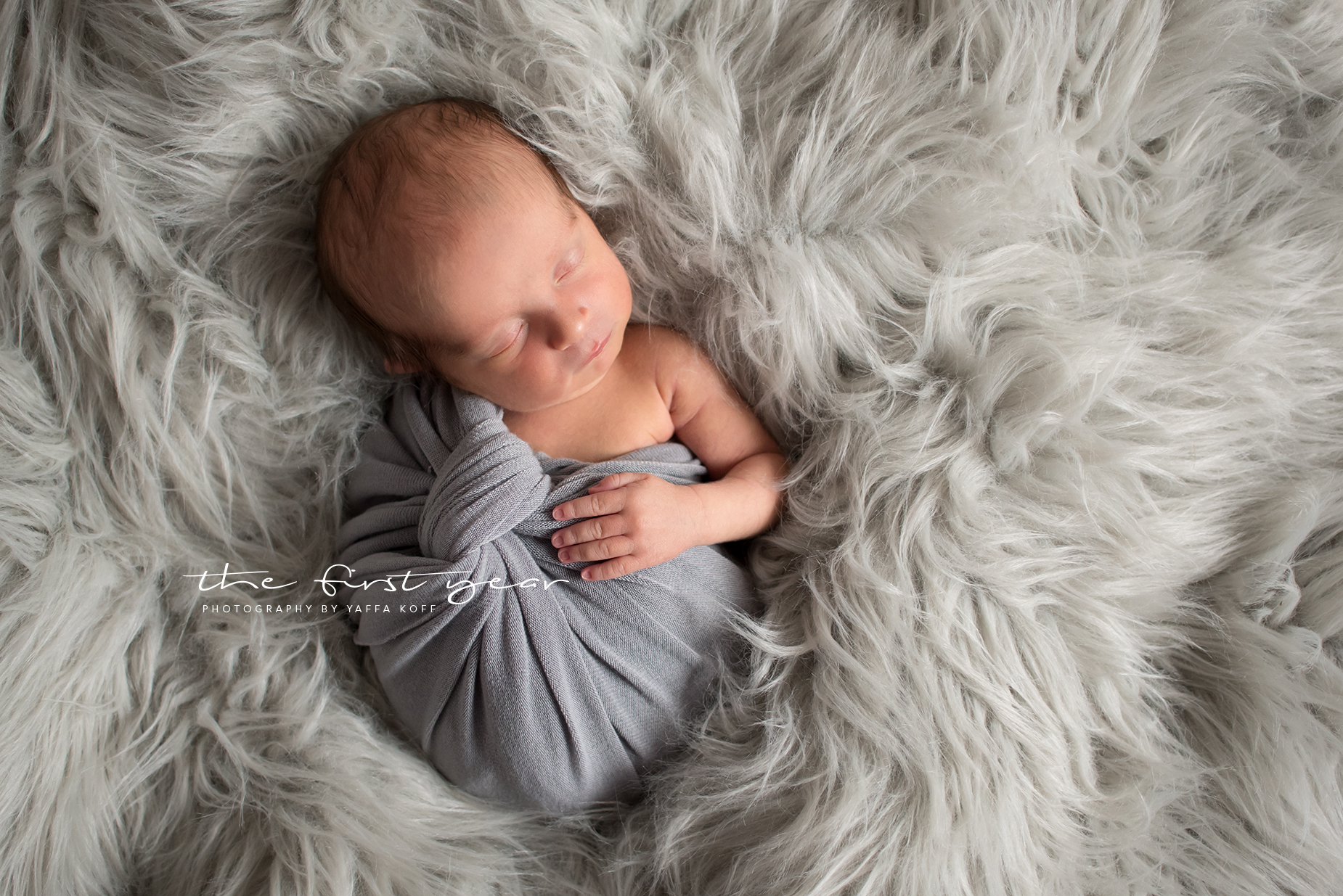 Silver Spring, Maryland Newborn Photography