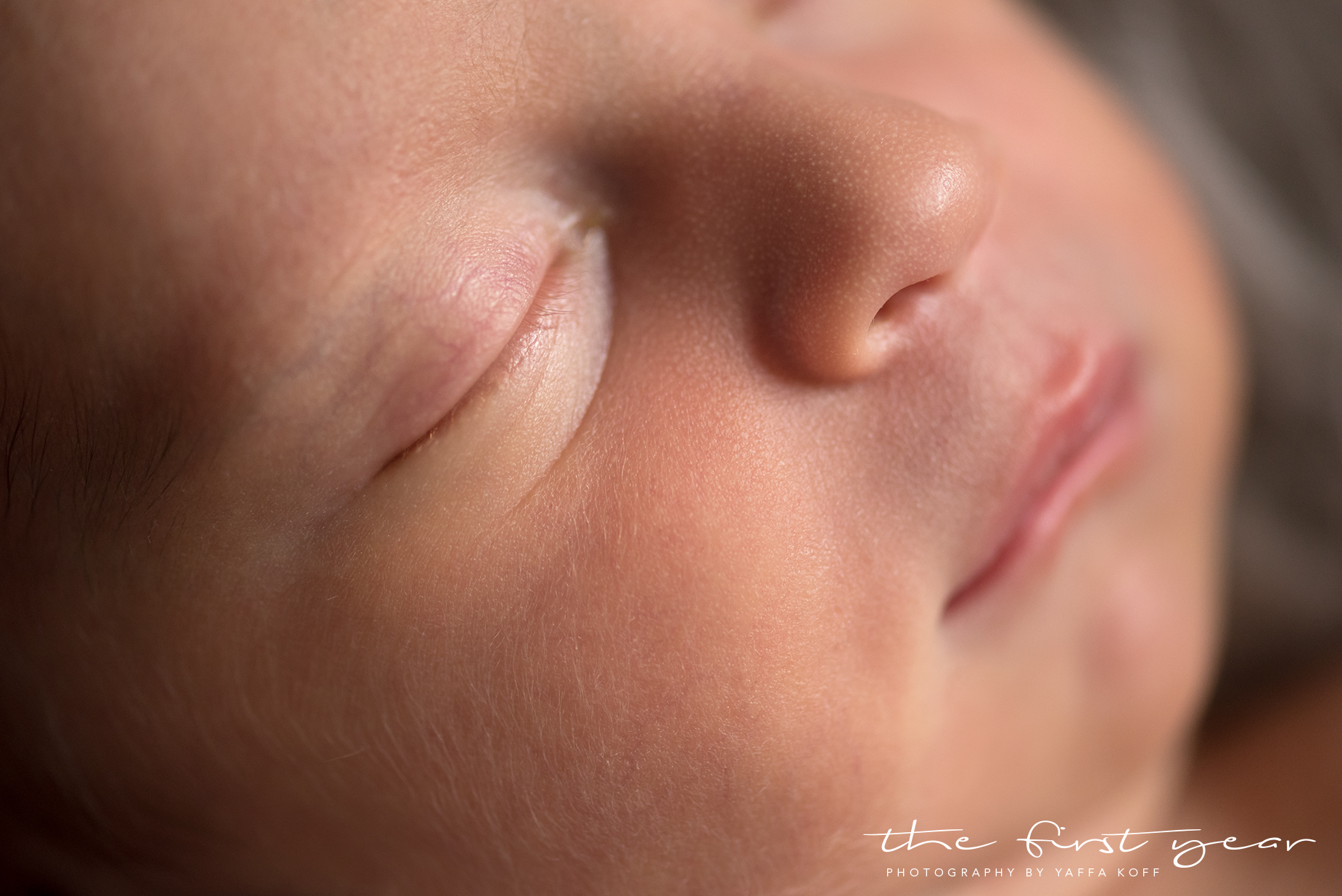 Silver Spring, Maryland Newborn Photography