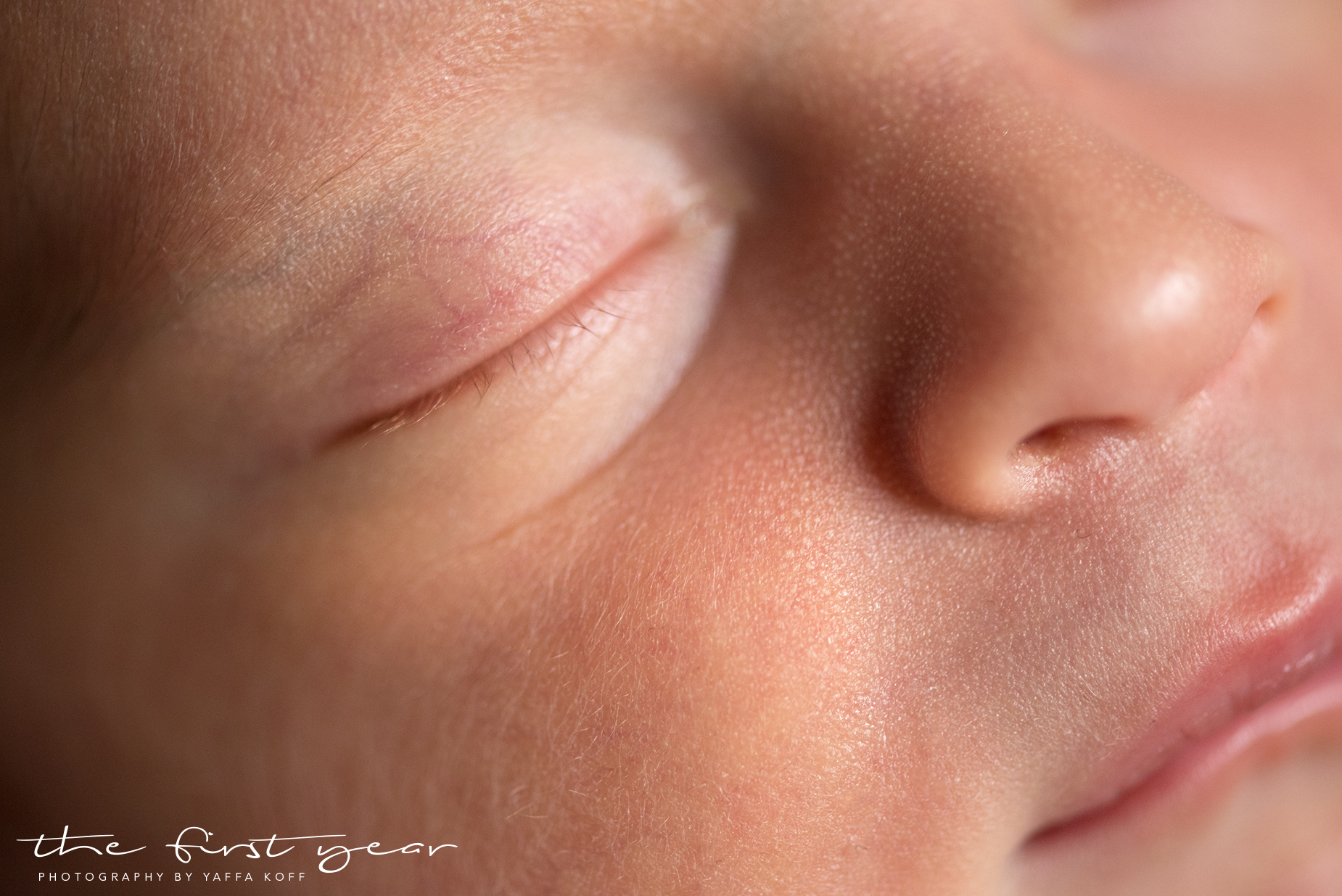 Silver Spring, Maryland Newborn Photography