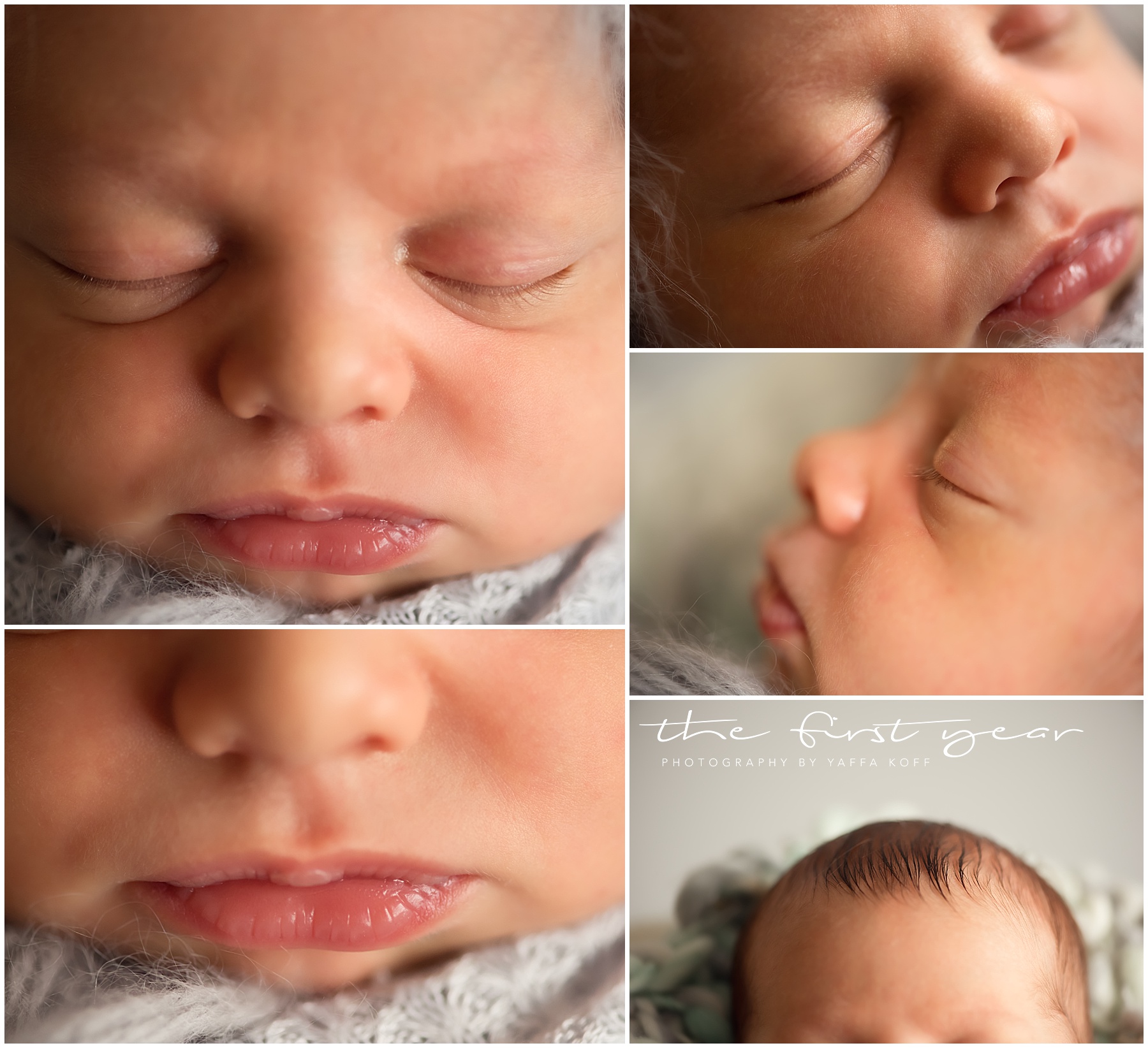 Washington DC newborn photographer