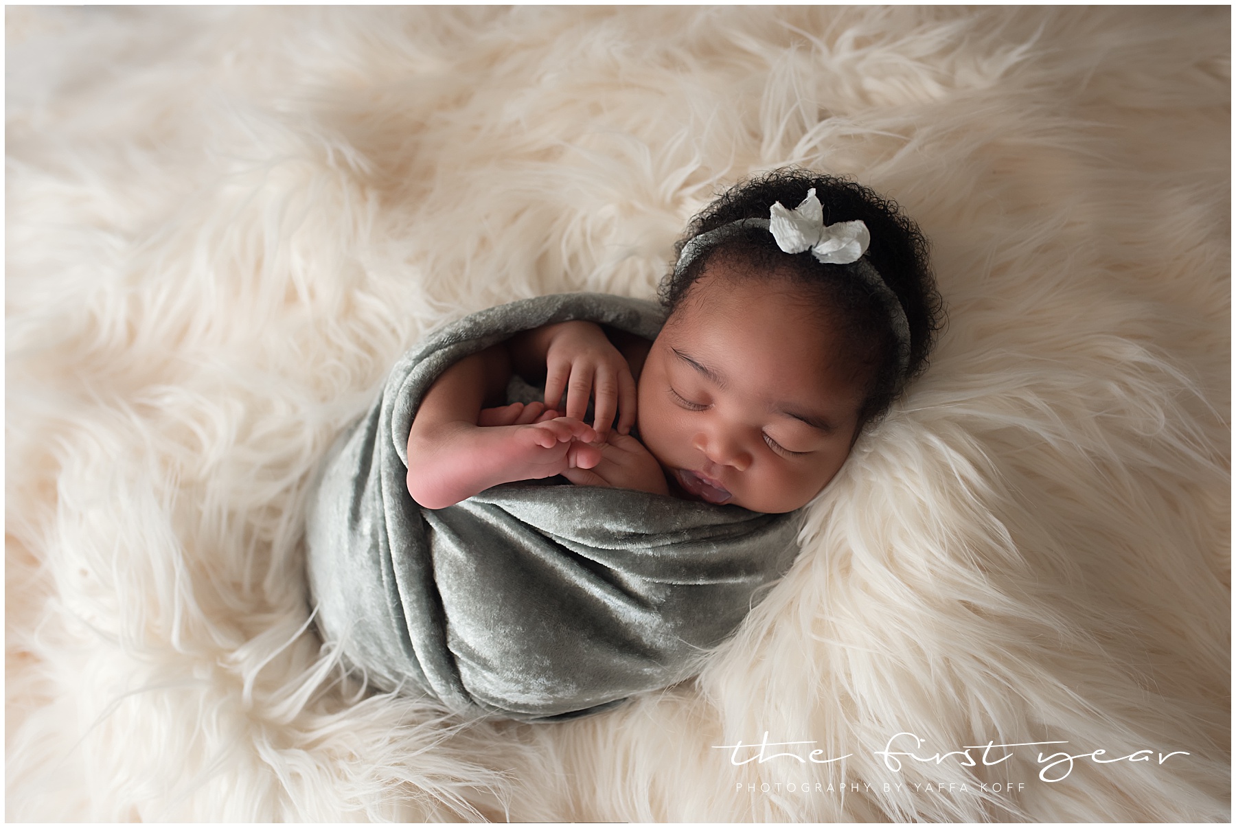 Newborn photographer, DMV