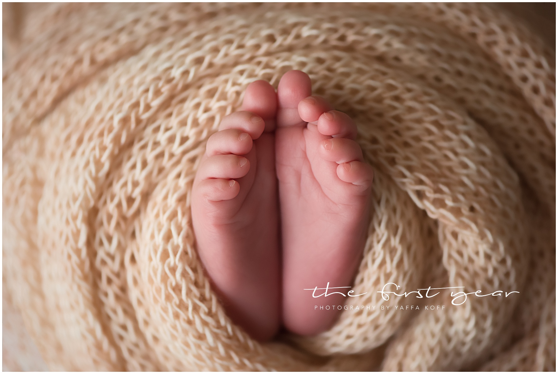 Newborn photographer, DMV