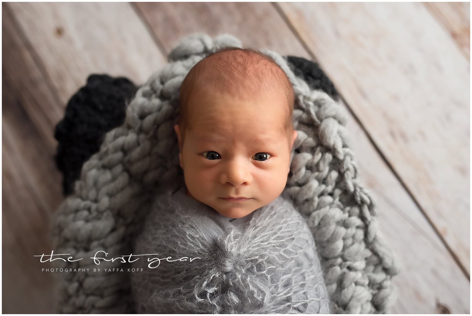 Newborn baby boy portrait in Silver Spring, Maryland, by Yaffa Koff Photography.