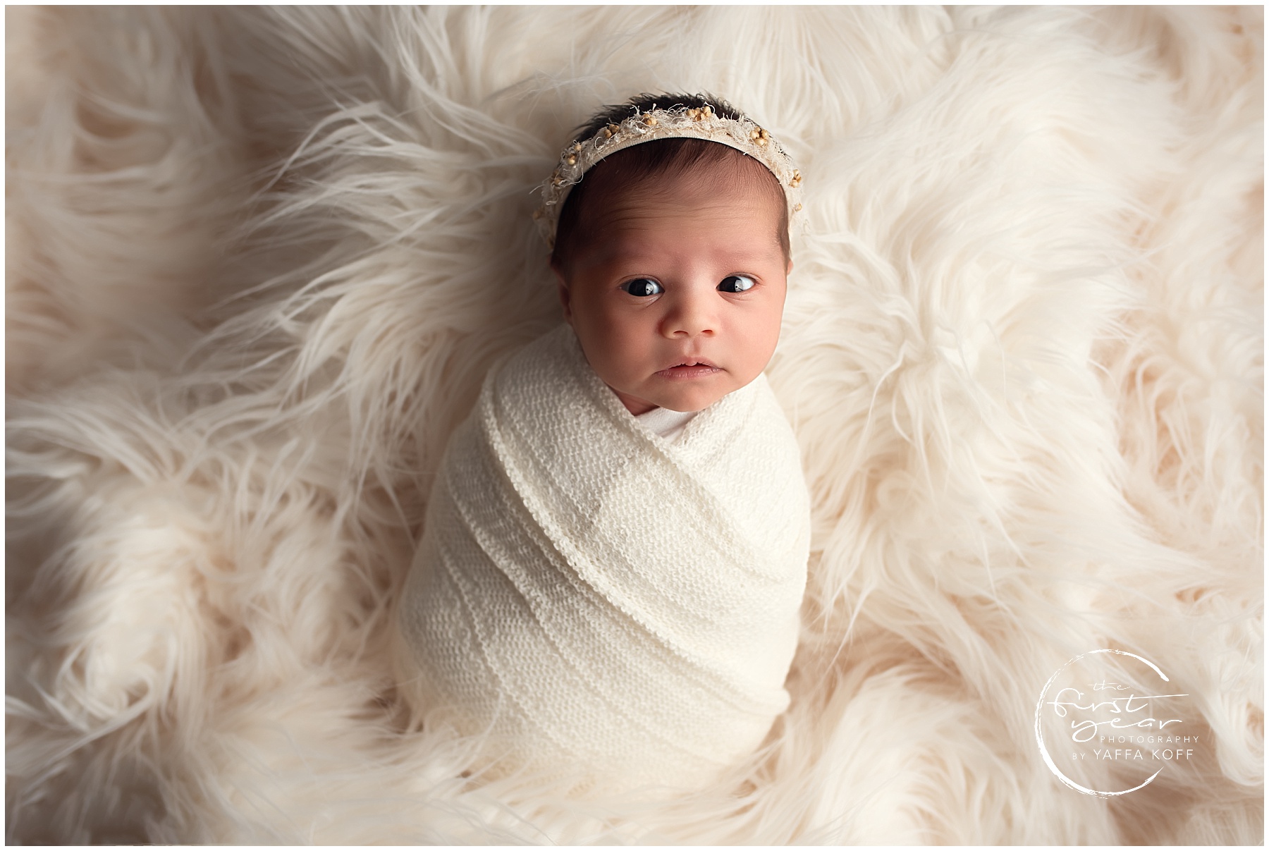 Bethesda MD Newborn Photography Session