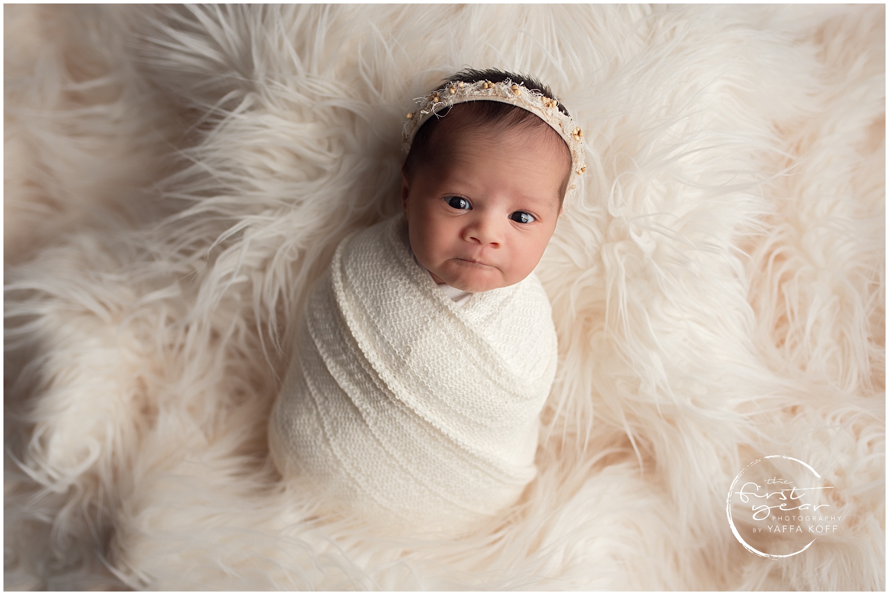 Bethesda MD Newborn Photography Session