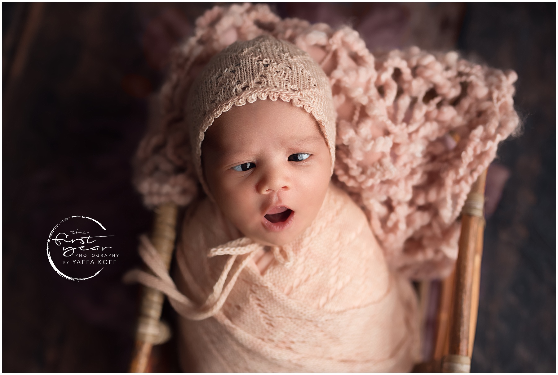 Bethesda MD Newborn Photography Session