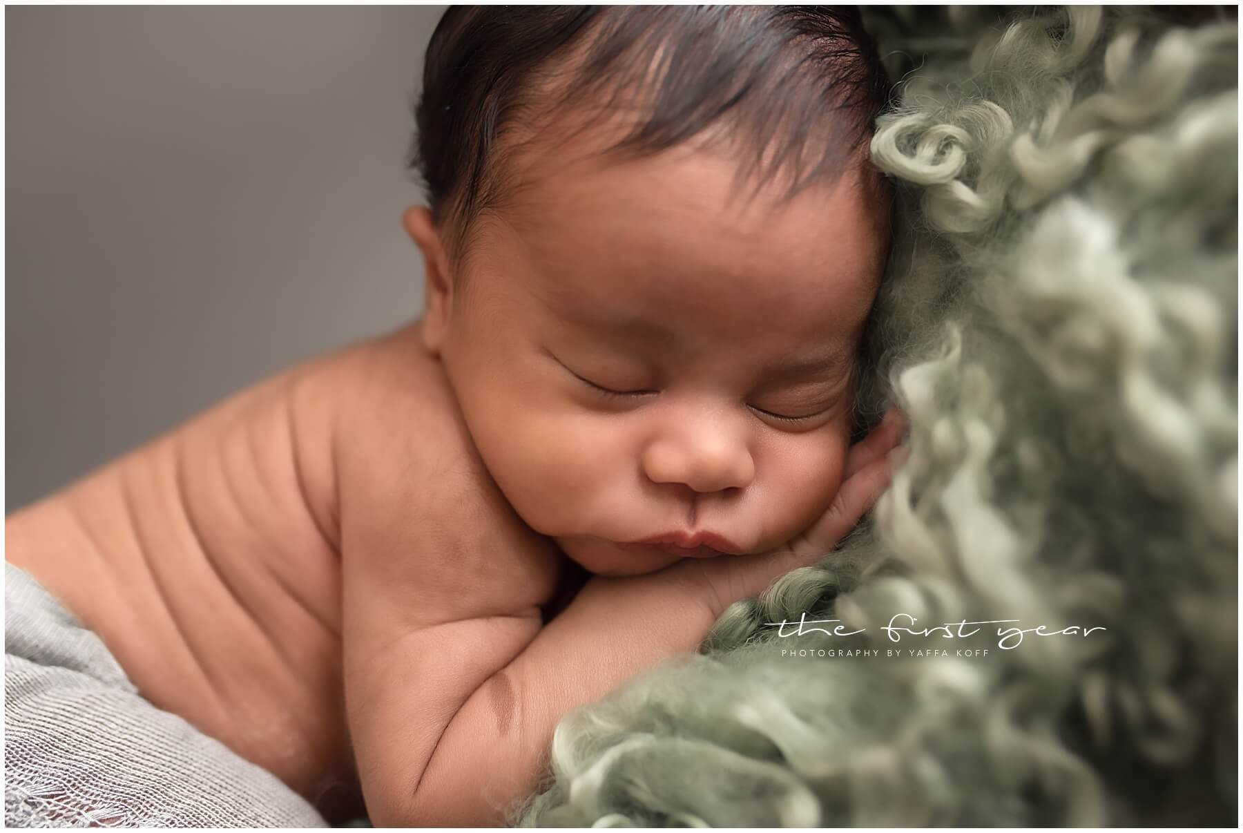 Maryland Newborn Portrait Session