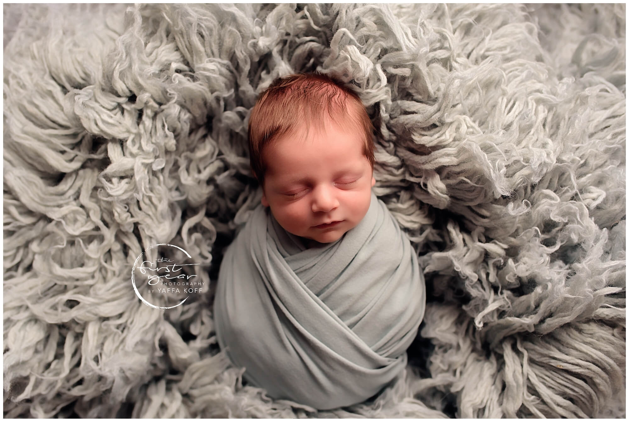 Maryland Newborn Photography Session