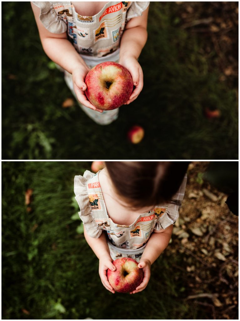 Apple Orchard