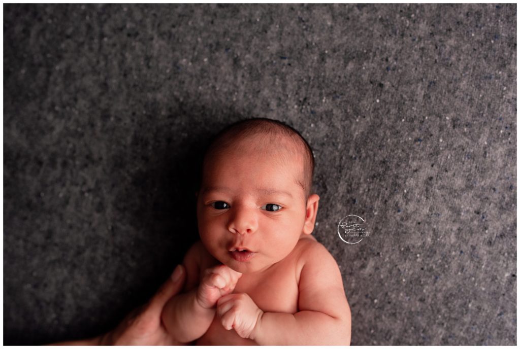 DMV Newborn Photographer