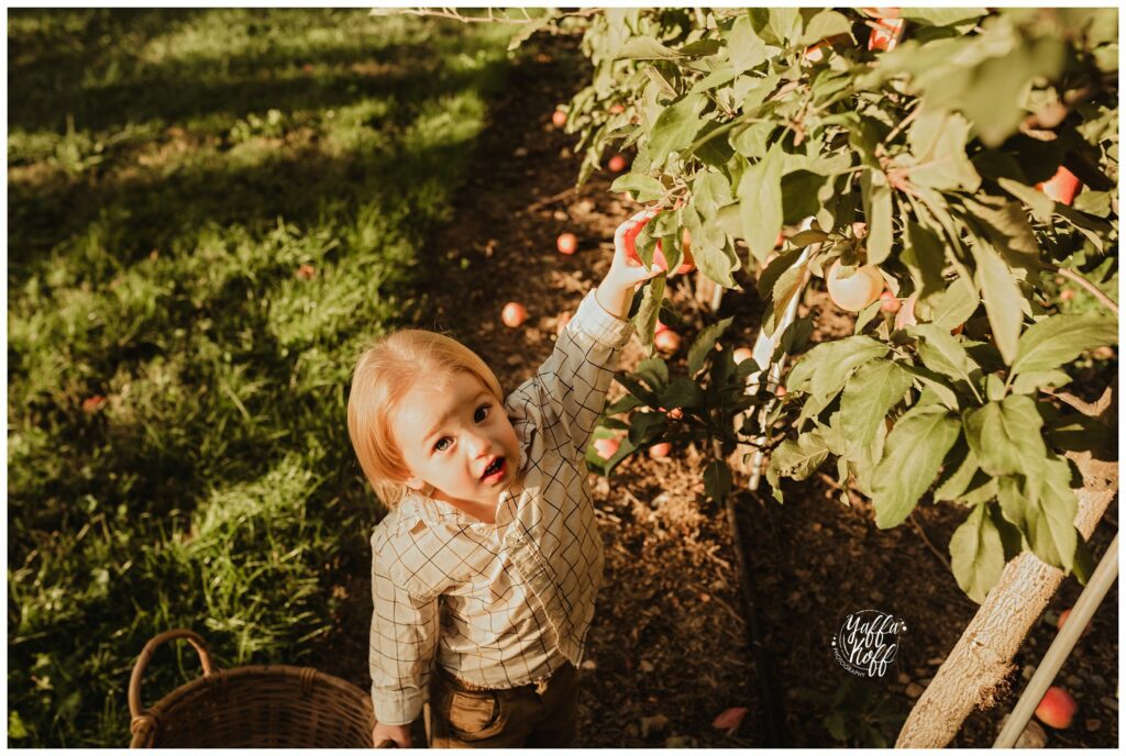 Outdoor family photo session