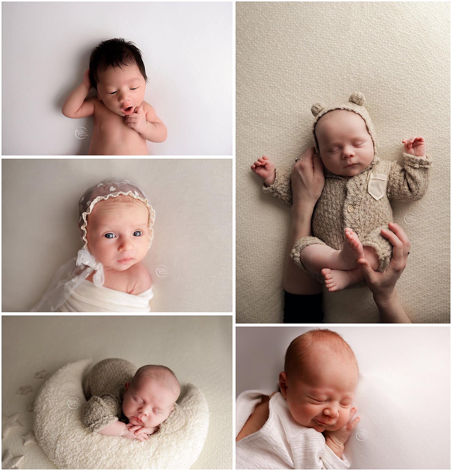 sweet babes lie on neutral backdrop by Silver Spring Family Photographer