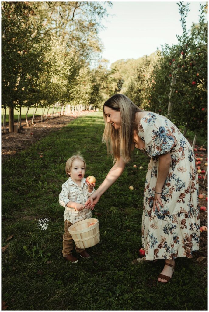 Mother and child picking apples in an orchard during outdoor family photo session.