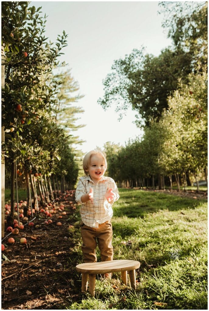 Child in orchard with trees and apples in Silver Spring, Maryland.