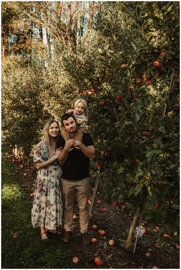 Apple Picking Family Photo in an orchard in Silver Spring, MD.