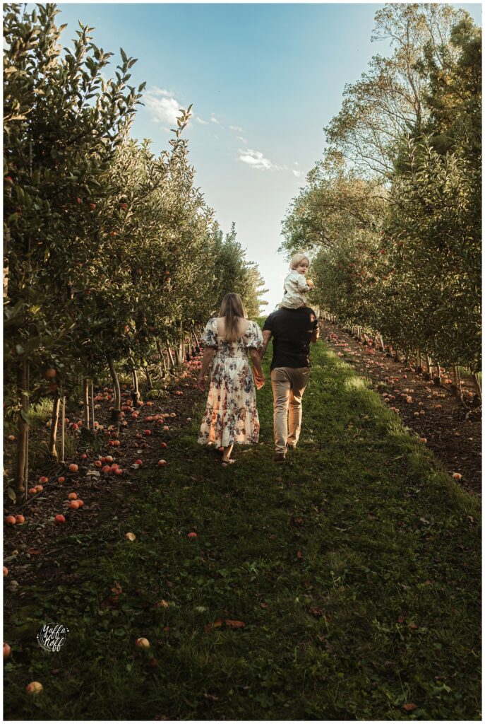 Family walking through orchard during outdoor photo session in Silver Spring, MD.